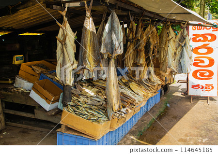 Fish sellers at Trincomalee market in Trincomalee, Sri Lanka. Fish sellers at Trincomalee market in Trincomalee, Sri Lanka. 114645185