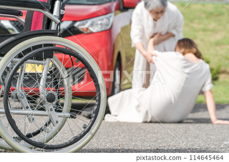 造成交通事故的老人與女性受害者(老年駕駛) 造成交通事故的老人與女性受害者(老年駕駛) 114645464