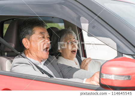 Elderly couple who panic in a traffic accident (senior, male and female) Elderly couple who panic in a traffic accident (senior, male and female) 114645545