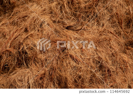 coconut coir rope making with traditional process 114645692