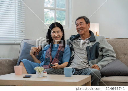 Relax, home and mature couple on sofa hug for bonding, healthy relationship and marriage. Retirement, happy Relax, home and mature couple on sofa hug for bonding, healthy relationship and marriage. Retirement, happy 114645741