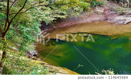 千葉縣大瀧町養老溪谷的粟又瀑布秋季水邊 千葉縣大瀧町養老溪谷的粟又瀑布秋季水邊 114645984