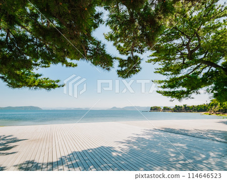 海景木甲板、旅行、避暑勝地 114646523