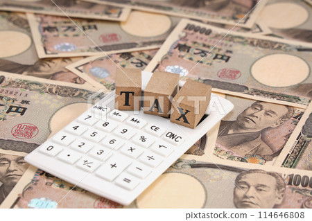 Tax Income Money Tax Income Money 114646808