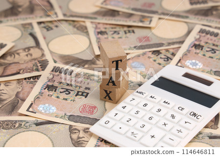 稅收收入 稅收收入 114646811