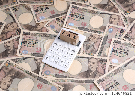 稅收收入 稅收收入 114646821