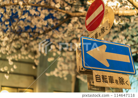 防止交通事故的道路標誌和道路標記 114647118