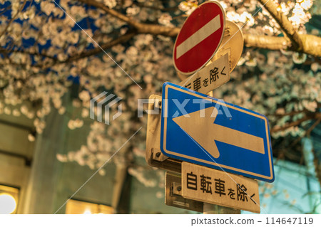 防止交通事故的道路標誌和道路標記 114647119