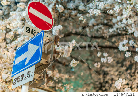 防止交通事故的道路標誌和道路標記 114647121