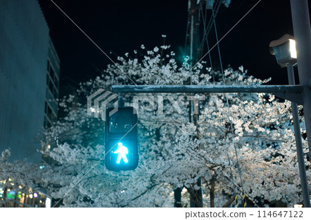 Road signs and markings to prevent traffic accidents 114647122