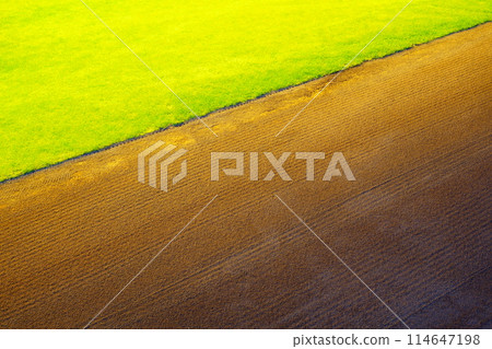 Earth and grass ground Earth and grass ground 114647198