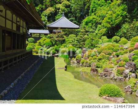 龍潭寺的龍池 114647394