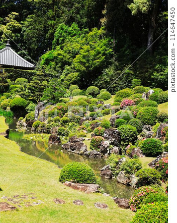 Dragon-shaped pond at Ryutanji Temple 2 Dragon-shaped pond at Ryutanji Temple 2 114647450