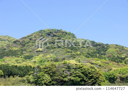 Mountain of spring 114647727