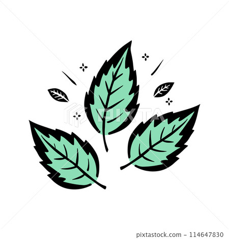 Leaves Mint stylized doodle, contour drawing mint color, isolated on white background. Leaves Mint stylized doodle, contour drawing mint color, isolated on white background. 114647830
