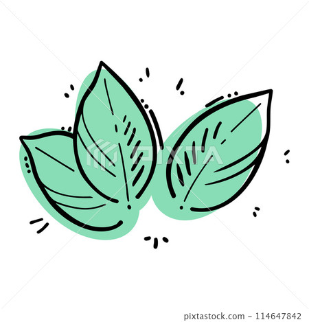 Leaves stylized doodle mint color, contour drawing on background of green spots, isolated on white background. Leaves stylized doodle mint color, contour drawing on background of green spots, isolated on white background. 114647842