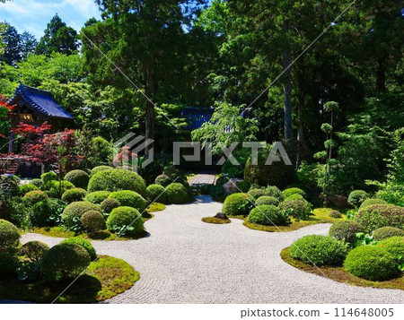 Garden of Ryu-ji Temple Garden of Ryu-ji Temple 114648005