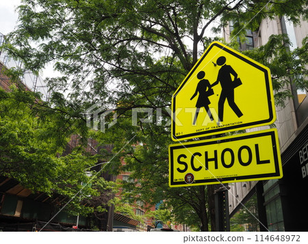 New York School Zones 114648972