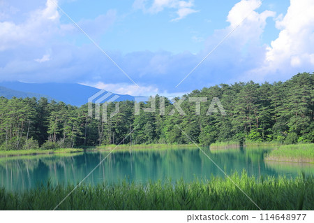 夏季的里盤台/弁天沼五色沼湖沼 114648977