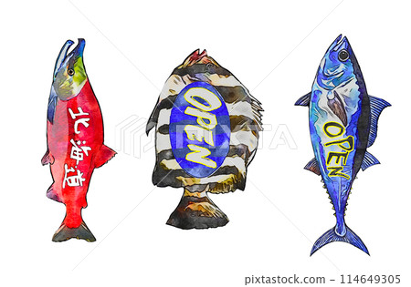 鮪魚 紅鮪 金槍魚 114649305