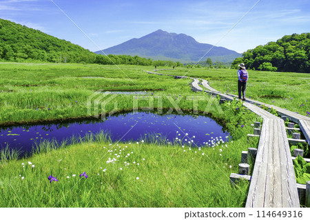 初夏尾澤原遠足 114649316