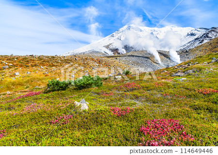 Asahidake, Hokkaido - The contrast between snow and autumn leaves Asahidake, Hokkaido - The contrast between snow and autumn leaves 114649446