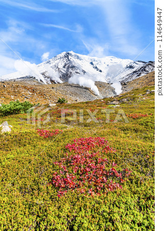 Asahidake, Hokkaido - The contrast between snow and autumn leaves 114649447