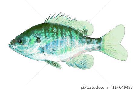 手繪翻車魚 手繪翻車魚 114649453