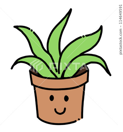 開心的植物 Happy Plant 開心的植物 Happy Plant 114649591