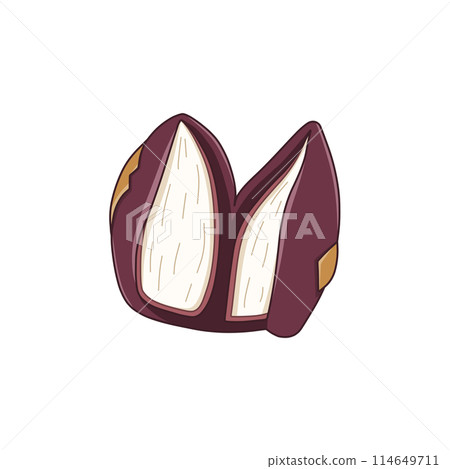 無核乾棗（椰棗果） 114649711