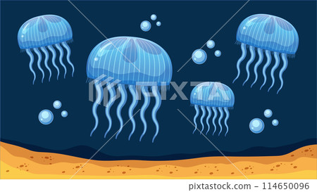 Jellyfish Lifecycle Underwater Scene 114650096