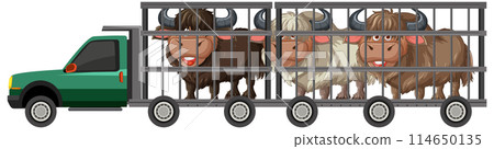Animals Transported in a Trailer Truck Animals Transported in a Trailer Truck 114650135