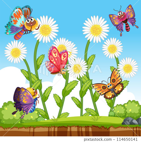 Colorful Butterflies in a Sunny Meadow Colorful Butterflies in a Sunny Meadow 114650141