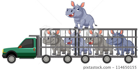 Cartoon Hippos Transported in Truck 114650155