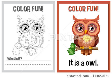 Color Fun Owl Illustration Activity 114650160