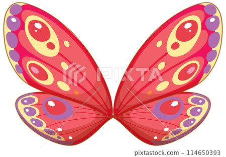 Colorful Butterfly Wings Vector Illustration 114650393