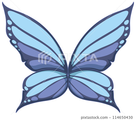 Elegant Blue Butterfly Vector Illustration 114650430