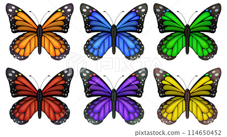 Colorful Butterfly Collection Vector Illustration Colorful Butterfly Collection Vector Illustration 114650452