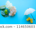 現在的季節是雨季 114650603