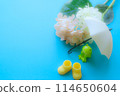 現在的季節是雨季2 114650604