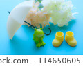 現在的季節是雨季3 114650605