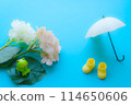現在的季節是雨季4 114650606