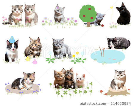 Cat seamless pattern ⑤ B-1 114650924