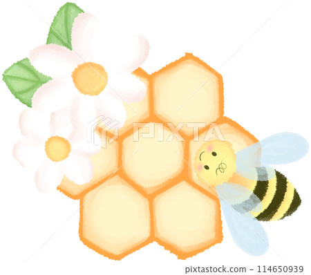 beehive on branch beehive on branch 114650939