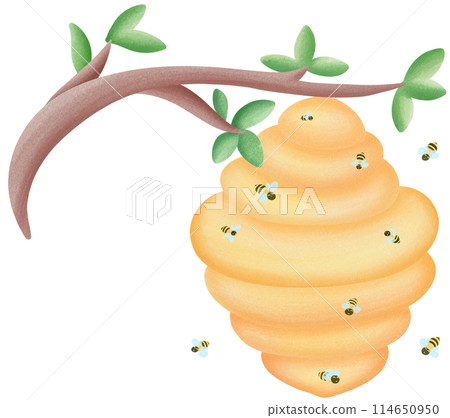 beehive on branch beehive on branch 114650950