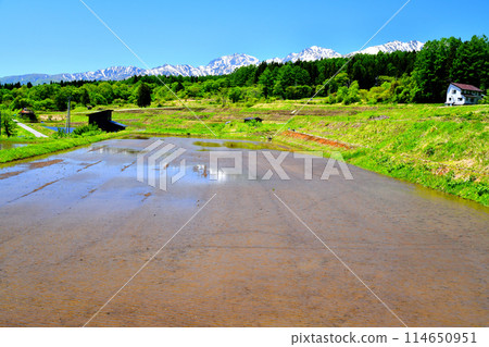 View of Mt. Kashima-Yari and Mt. Goryu from near Wakaguri Onsen and Hakuba Norikura Onsen Ski Resort (Otari Village, Nagano Prefecture) [May 2024] 114650951