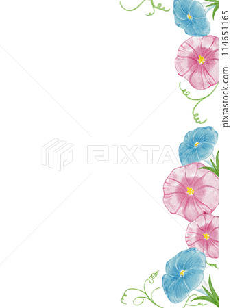 水彩畫的美麗夏日牽牛花牽牛花垂直框架材料的插圖 水彩畫的美麗夏日牽牛花牽牛花垂直框架材料的插圖 114651165
