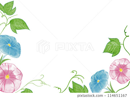 夏季簡約牽牛花牽牛花插畫框架設計素材水彩畫 夏季簡約牽牛花牽牛花插畫框架設計素材水彩畫 114651167