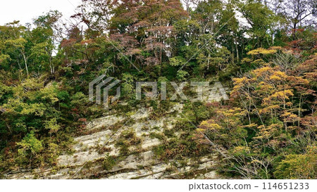 The Oigawa road at Kirari, a mountain station in Yoro Valley 114651233
