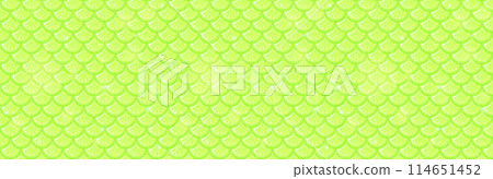 Green Fish Scale Pattern Background 114651452